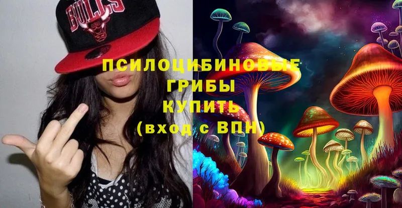 купить закладку  Батайск  Псилоцибиновые грибы Psilocybine cubensis 